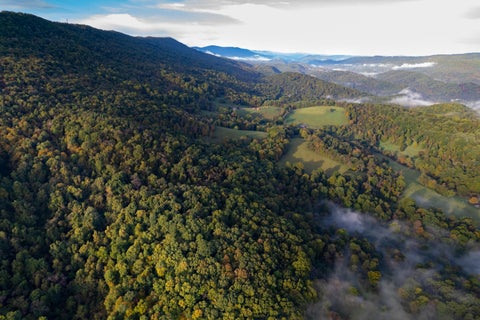 Vacant Land For Sale - Robertson Mountain Rd<br/> Narrows, VA 24124