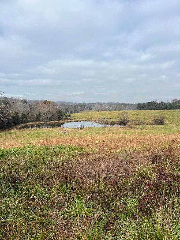 10723 Falling Creek Rd, Huddleston, Virginia image 2
