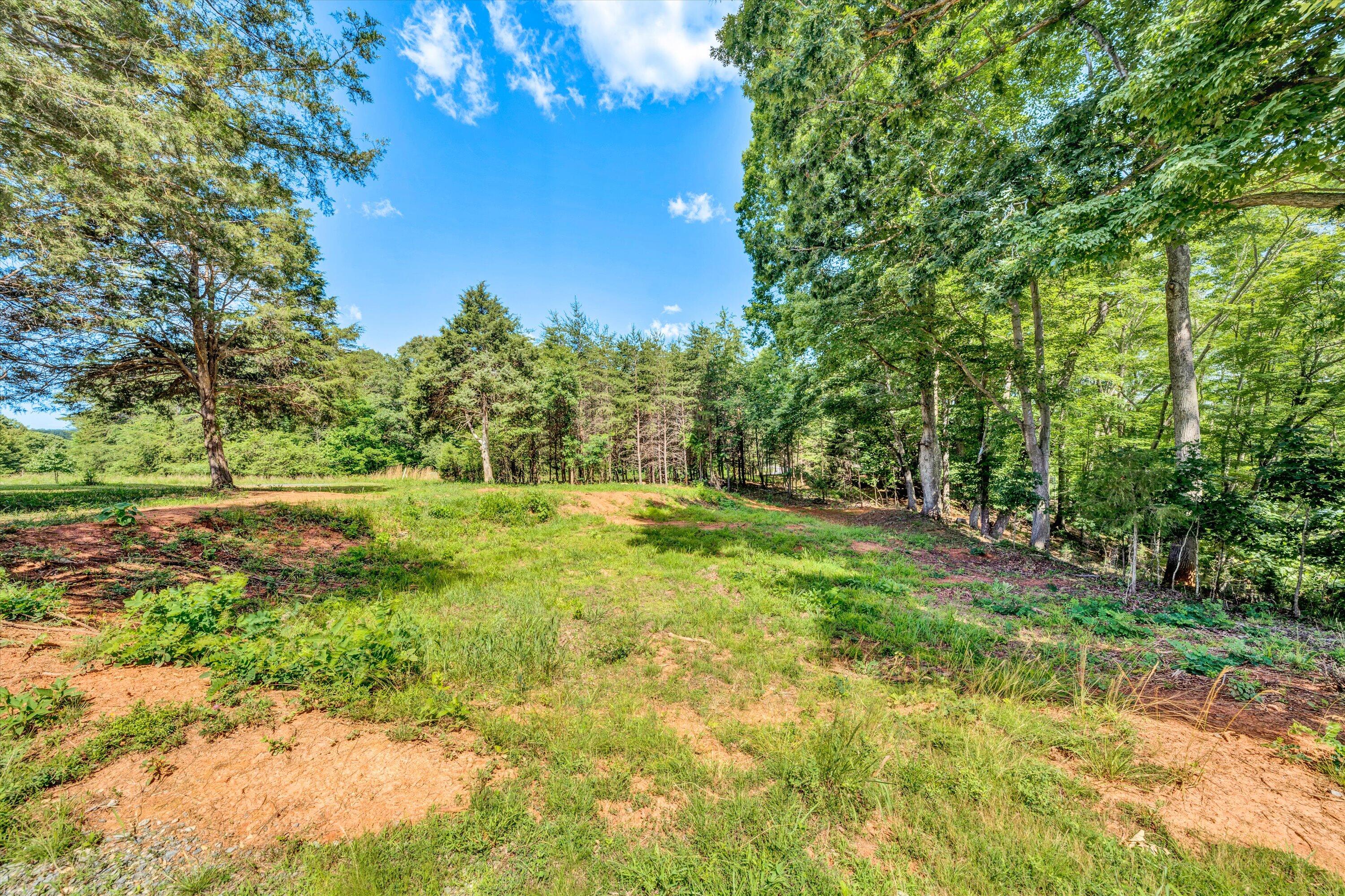 Lot 8 Coves Rd, Union Hall, Virginia image 5