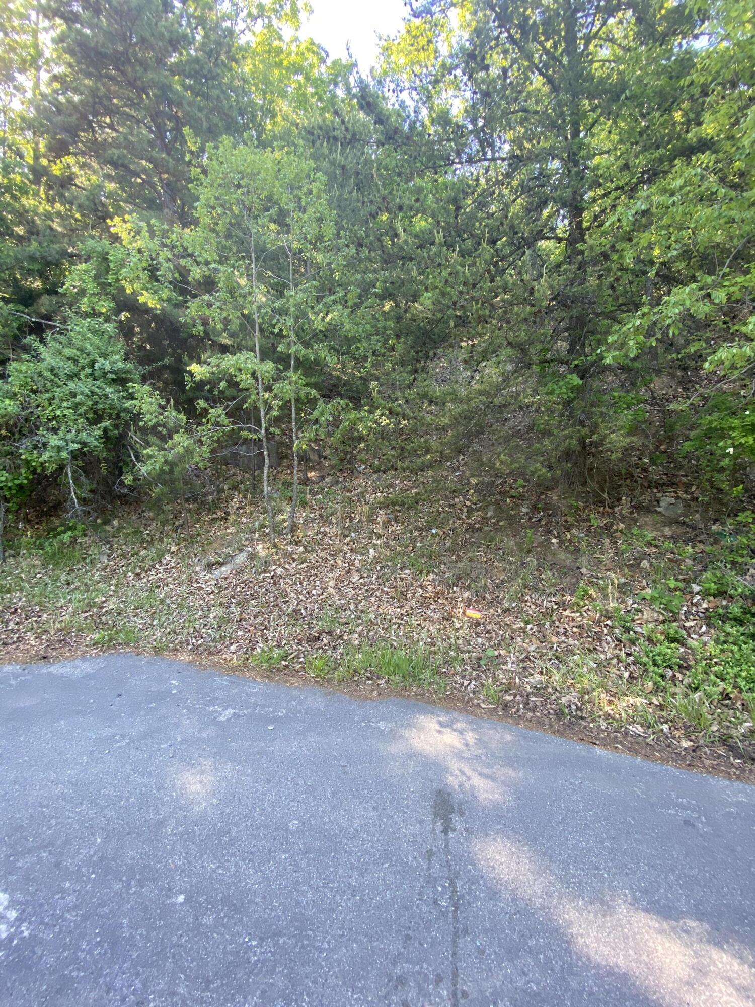 2441 Coachman Dr, Roanoke, Virginia image 3