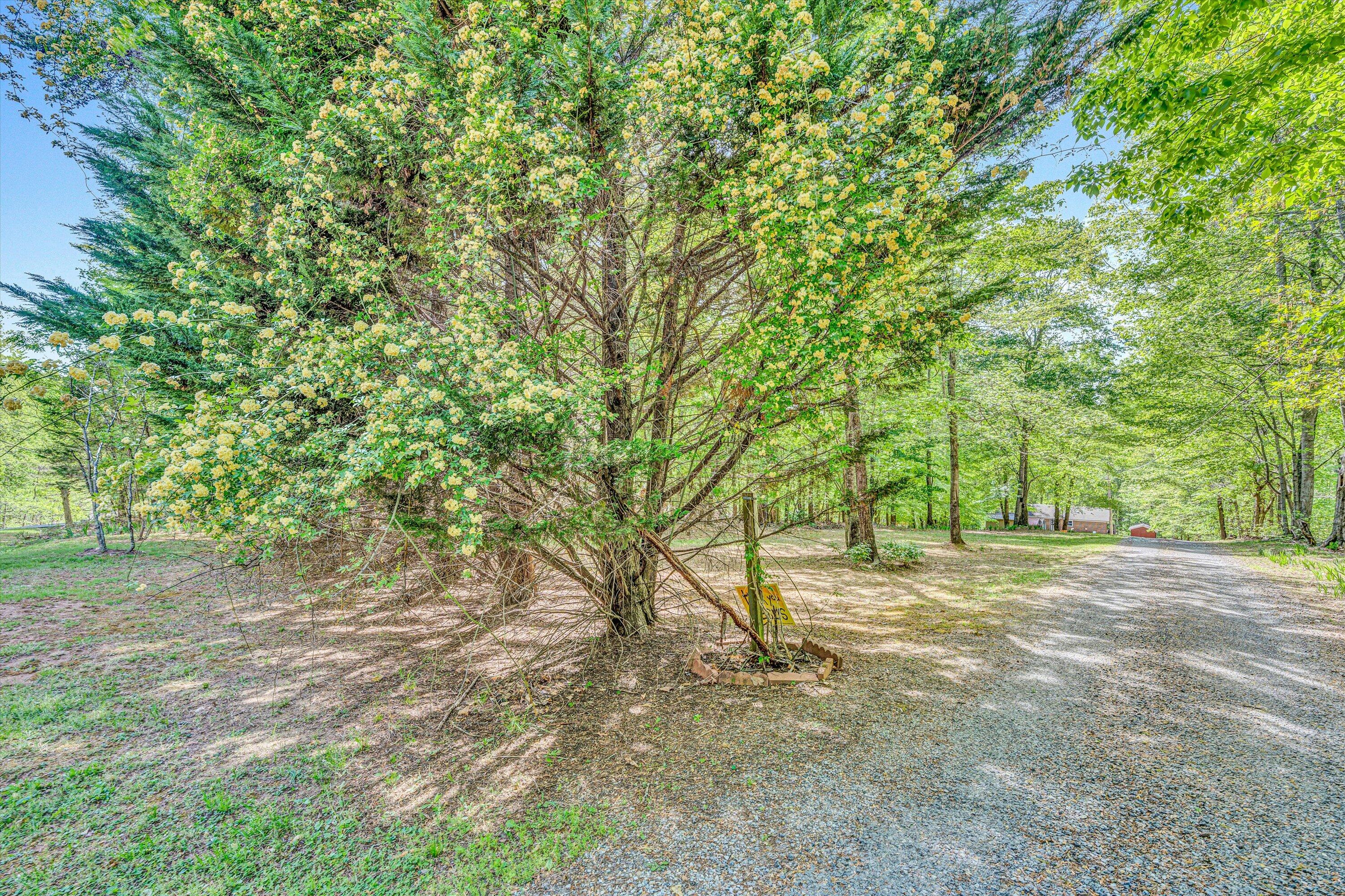 14 Kamp Branch Rd, Union Hall, Virginia image 44