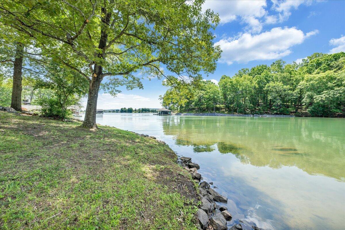 414 Strawberry Banks Dr, Moneta, Virginia image 49