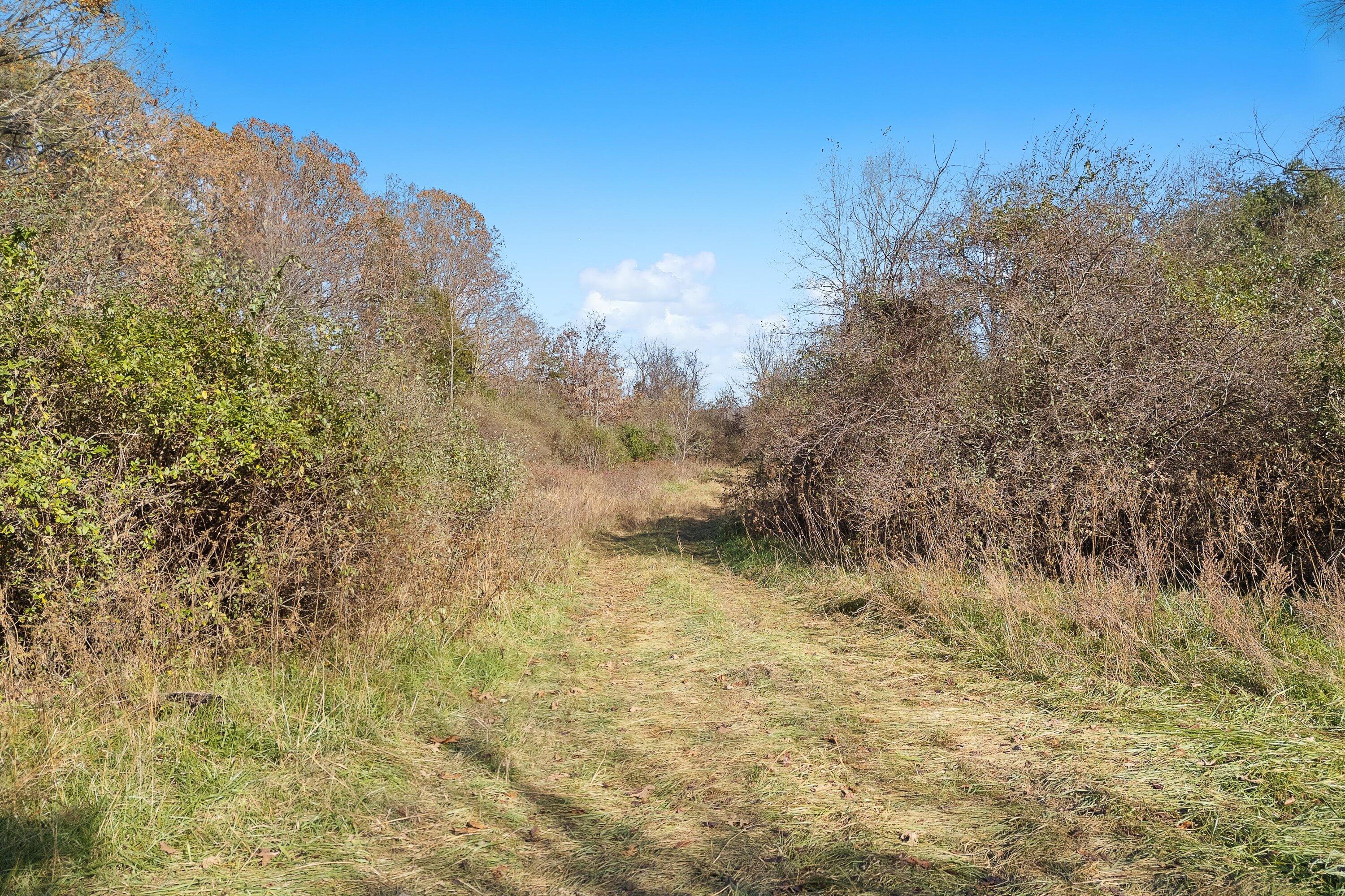 Curry Creek Rd, Fincastle, Virginia image 18