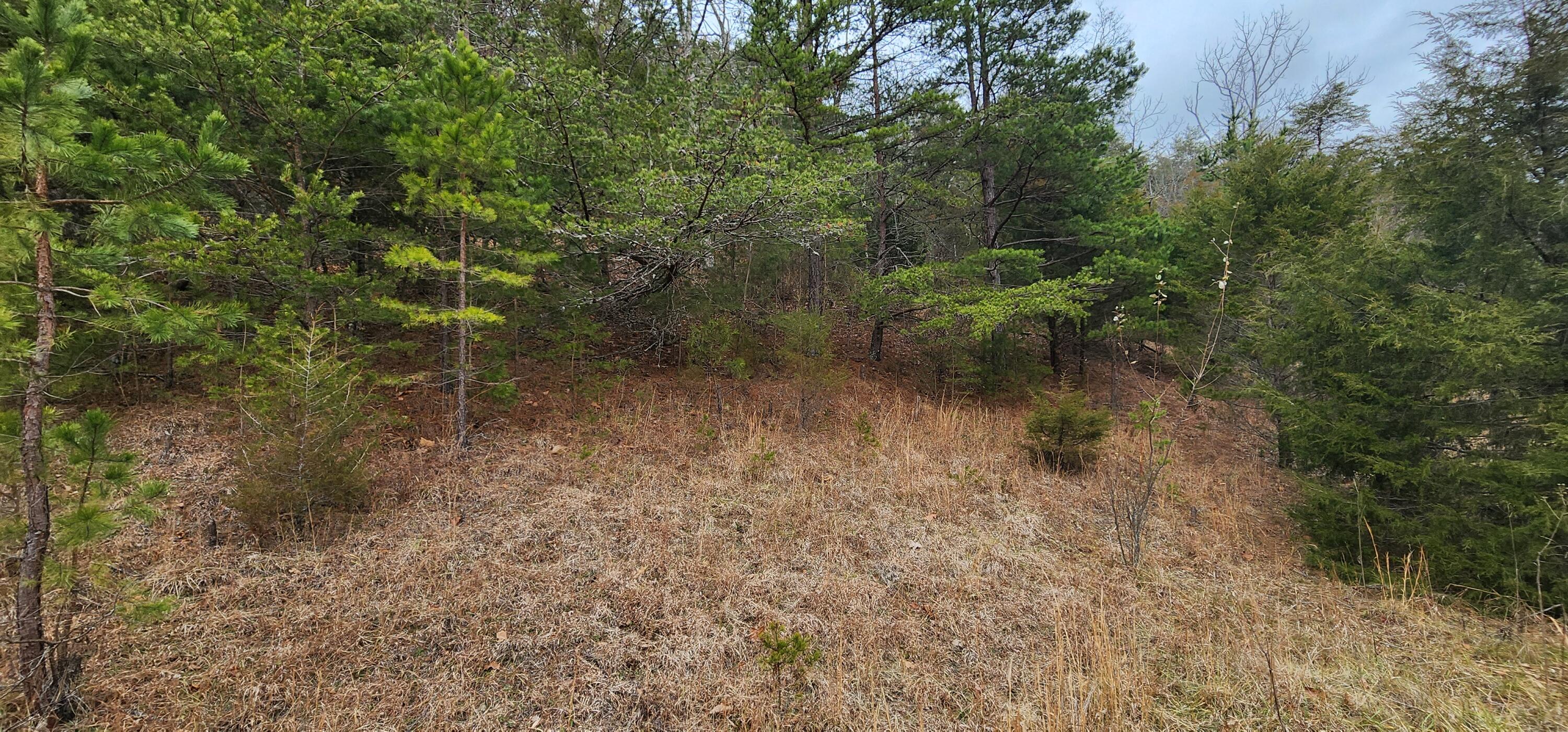 Lot 33 Johns Creek Rd, New Castle, Virginia image 1