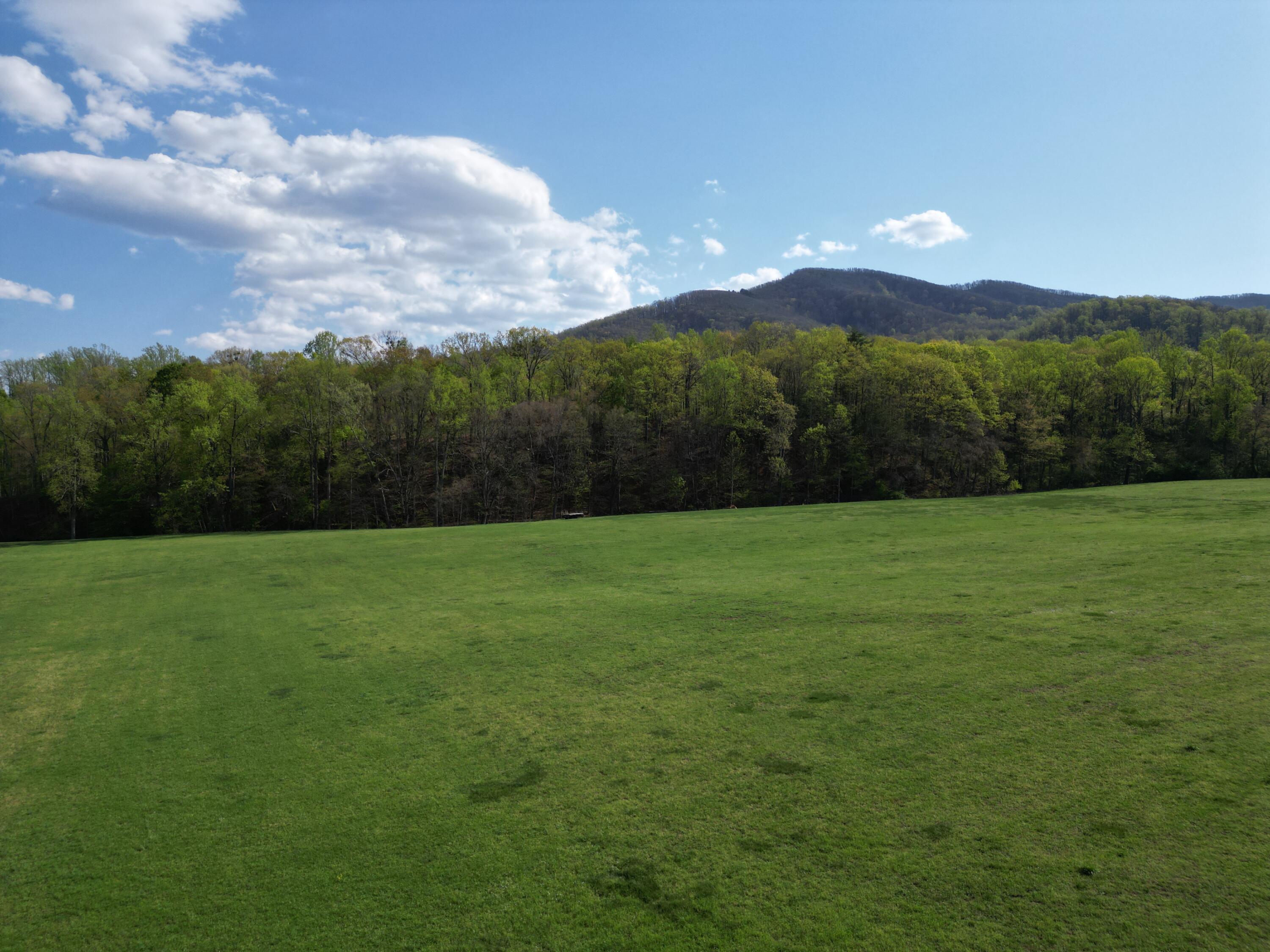 Lot 10 Apple Rd, Boones Mill, Virginia image 4