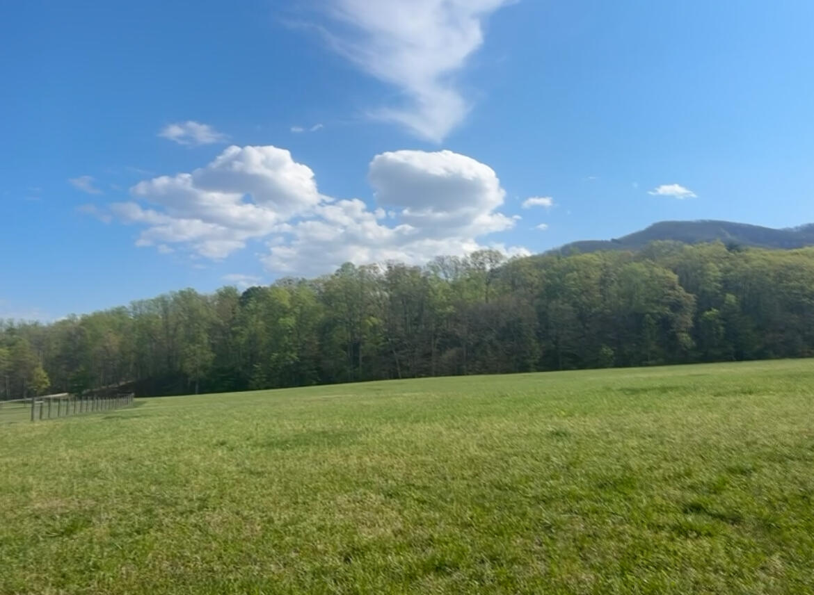 Lot 10 Apple Rd, Boones Mill, Virginia image 2