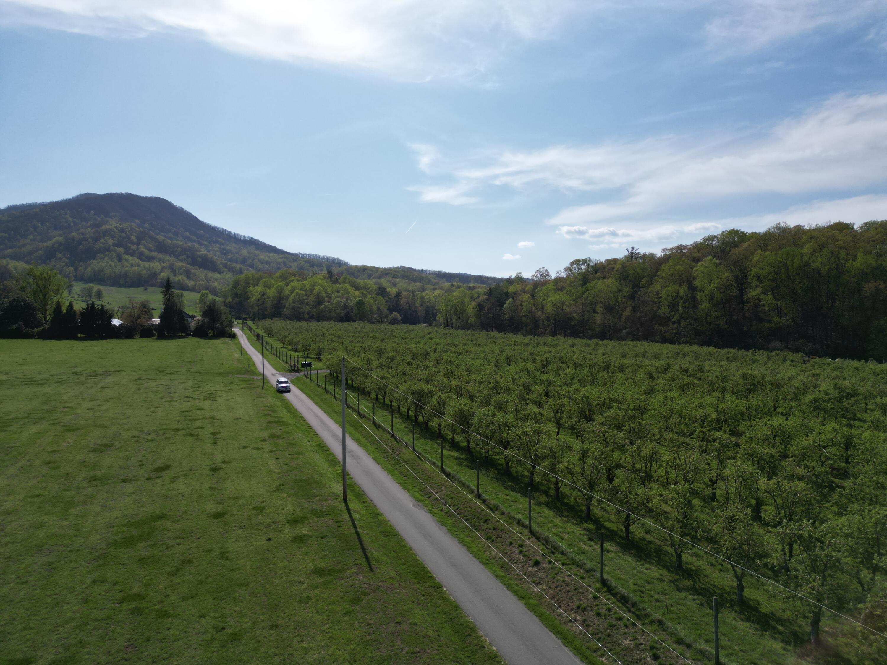 Lot 10 Apple Rd, Boones Mill, Virginia image 8
