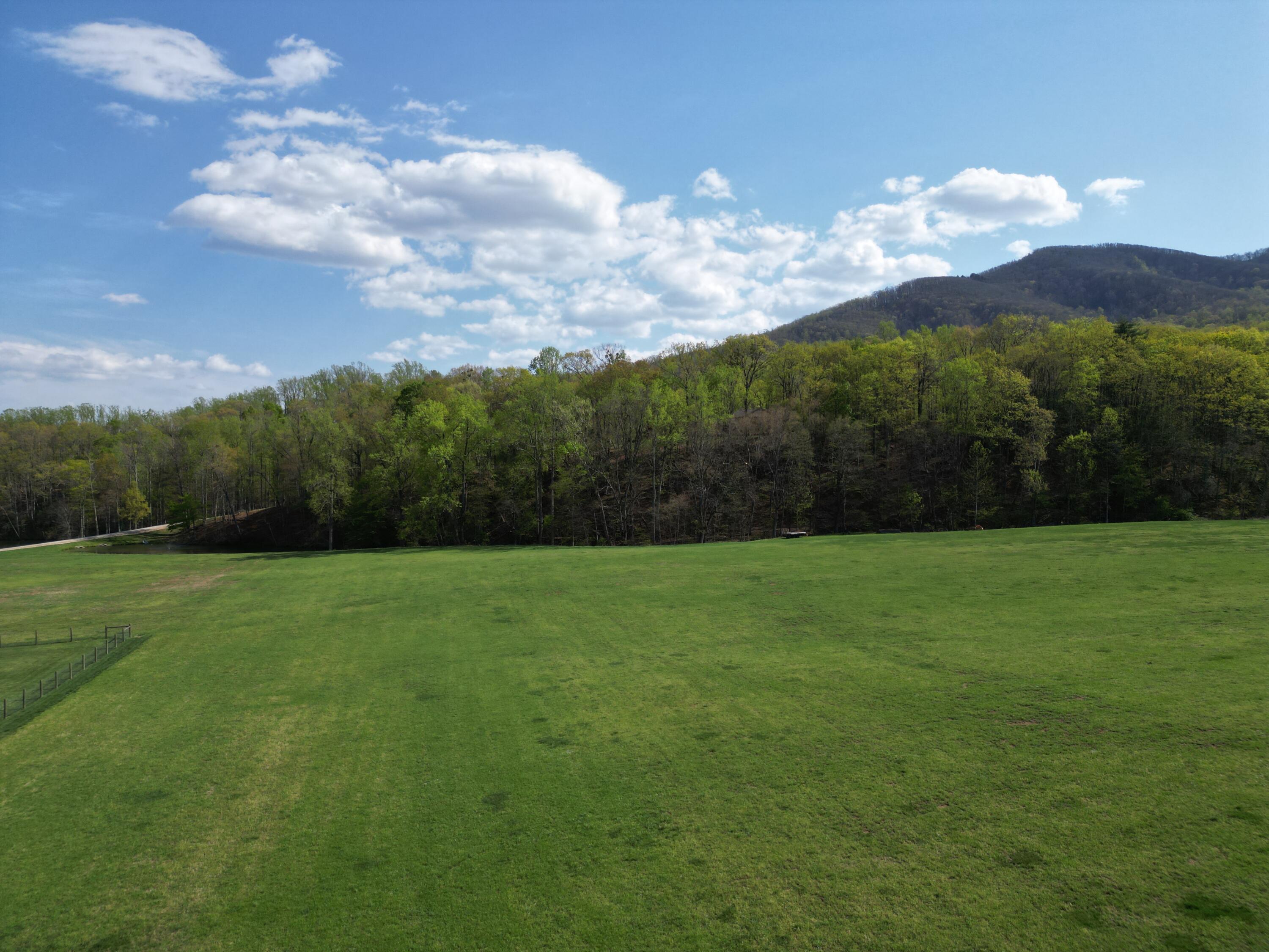 Lot 10 Apple Rd, Boones Mill, Virginia image 1
