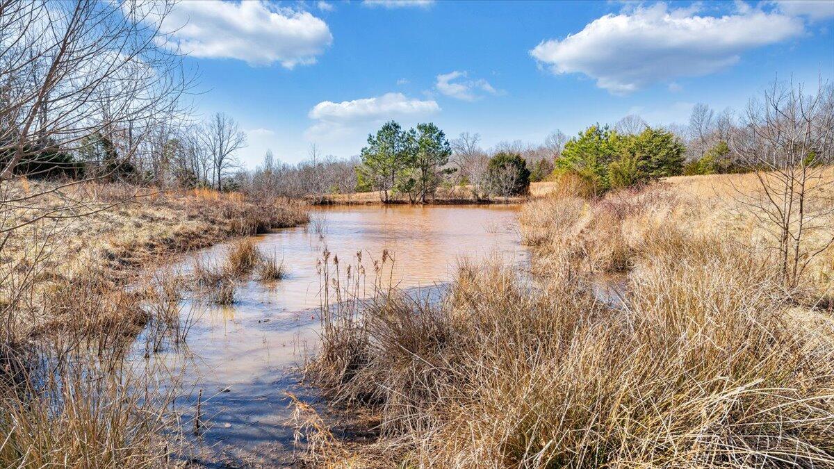 Down Creek Rd, Brookneal, Virginia image 29