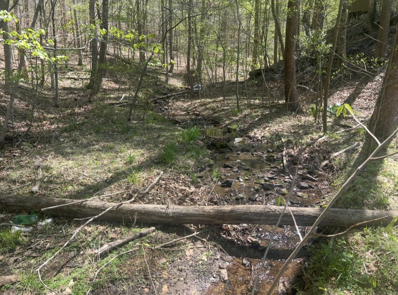 Lot 5 Blackwater Landing Dr, Wirtz, Virginia image 17