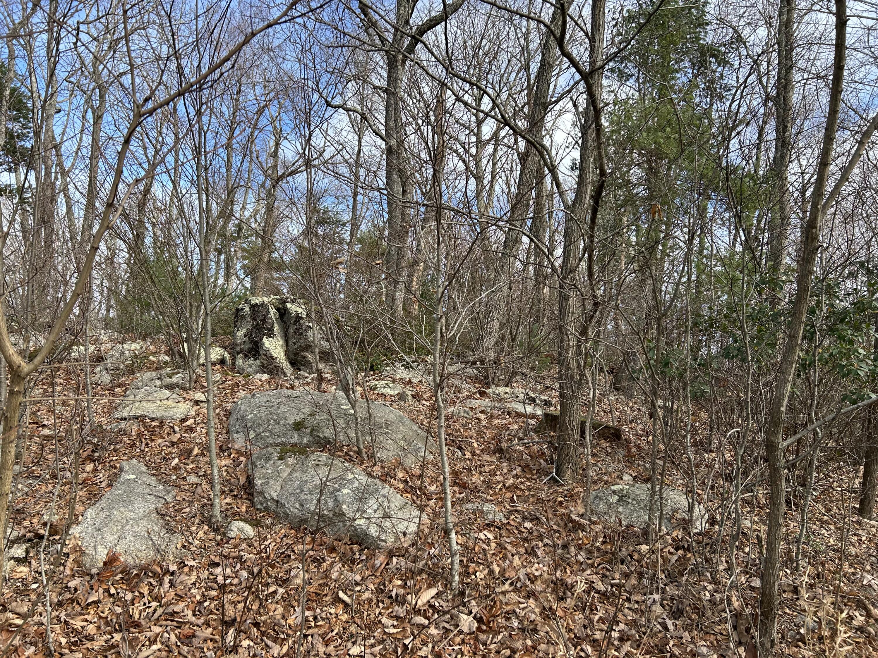 Mountainside Trl, Copper Hill, Virginia image 6