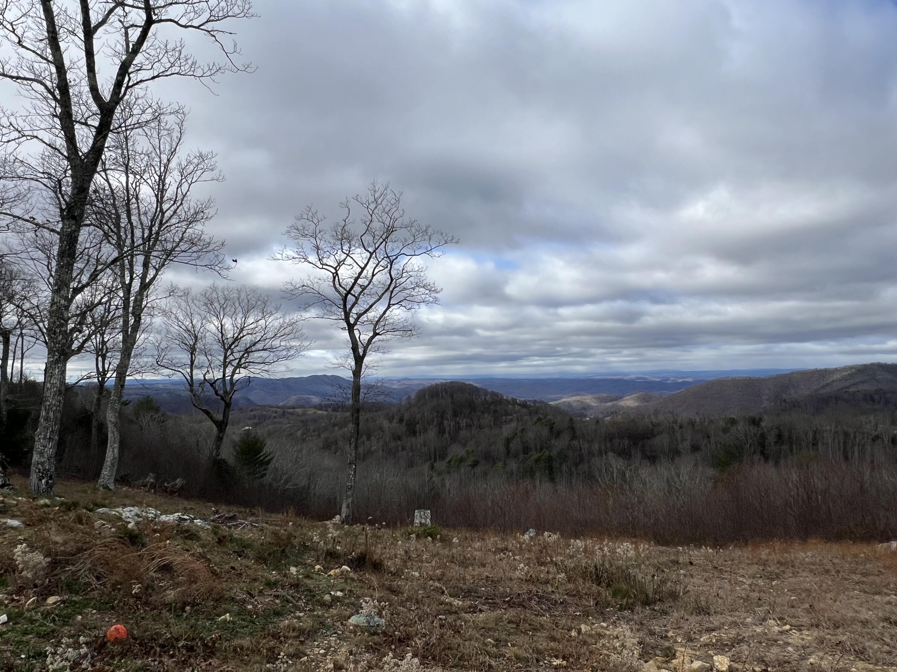 Mountainside Trl, Copper Hill, Virginia image 2