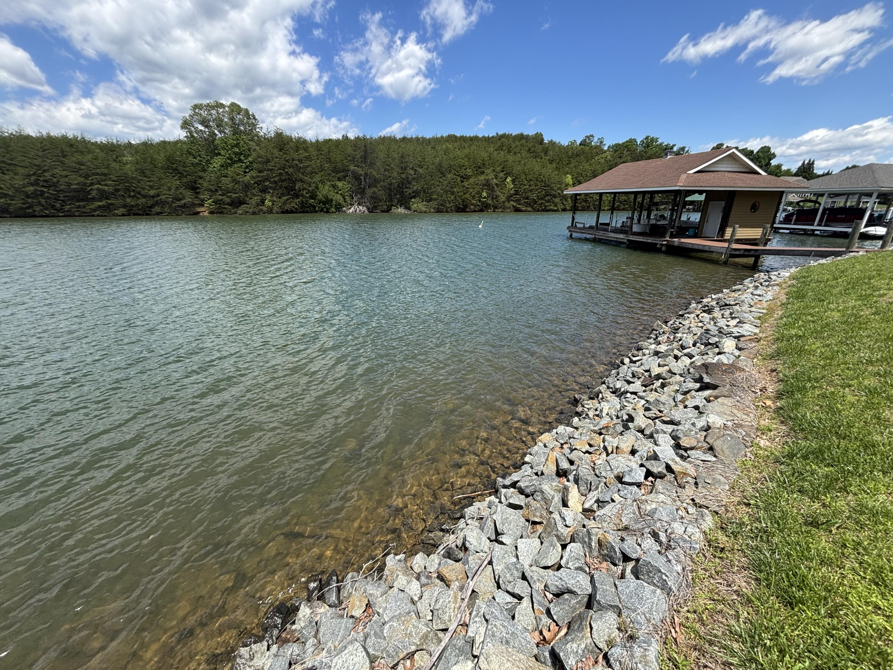 415 Strawberry Banks Dr, Moneta, Virginia image 17