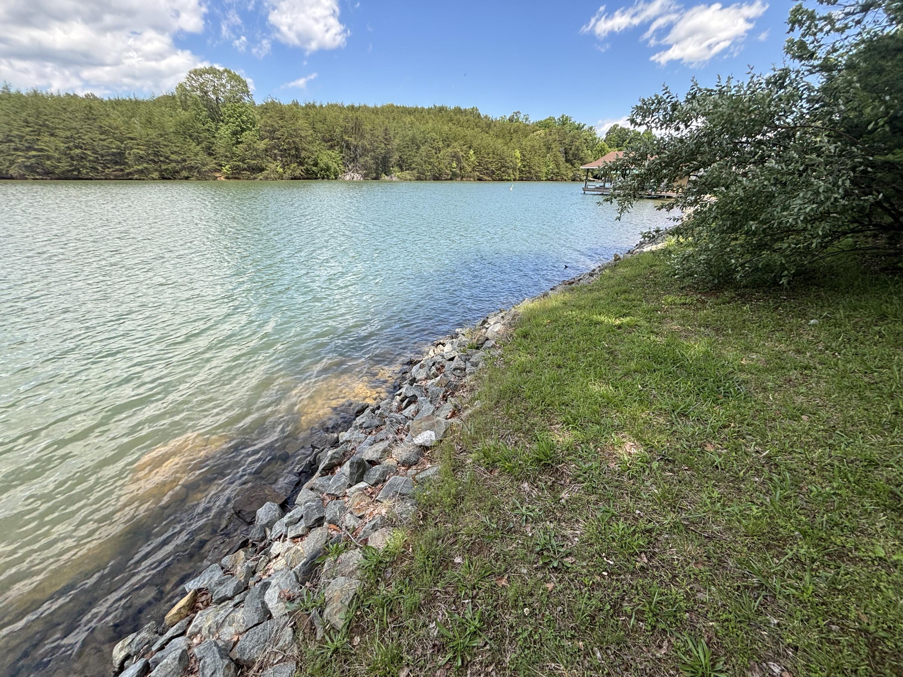 415 Strawberry Banks Dr, Moneta, Virginia image 18