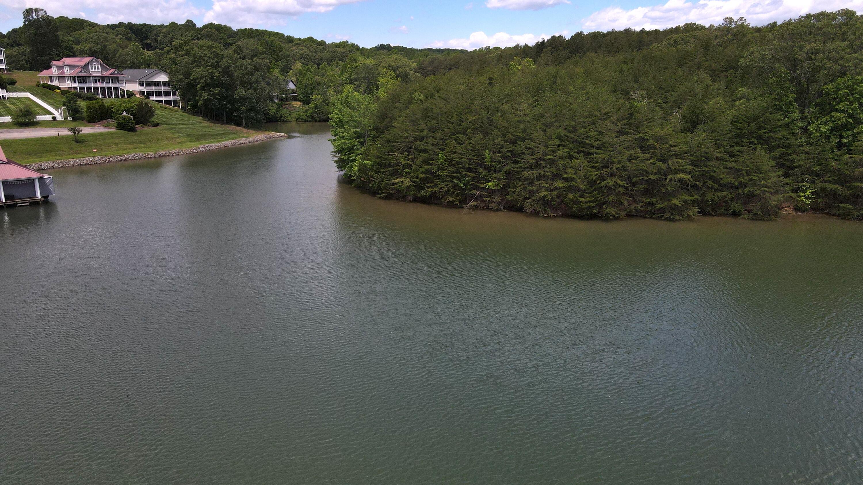 415 Strawberry Banks Dr, Moneta, Virginia image 14