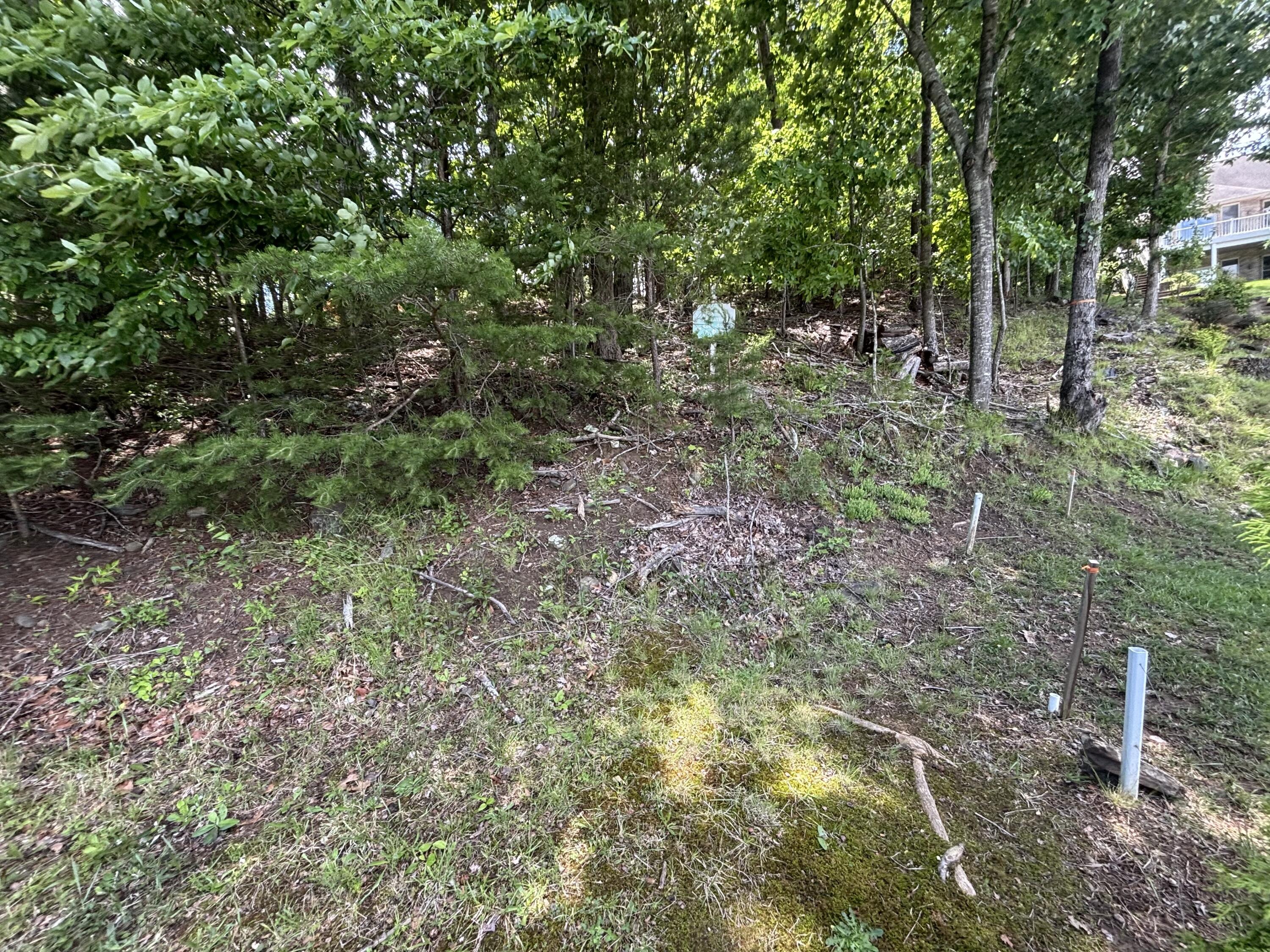 415 Strawberry Banks Dr, Moneta, Virginia image 21
