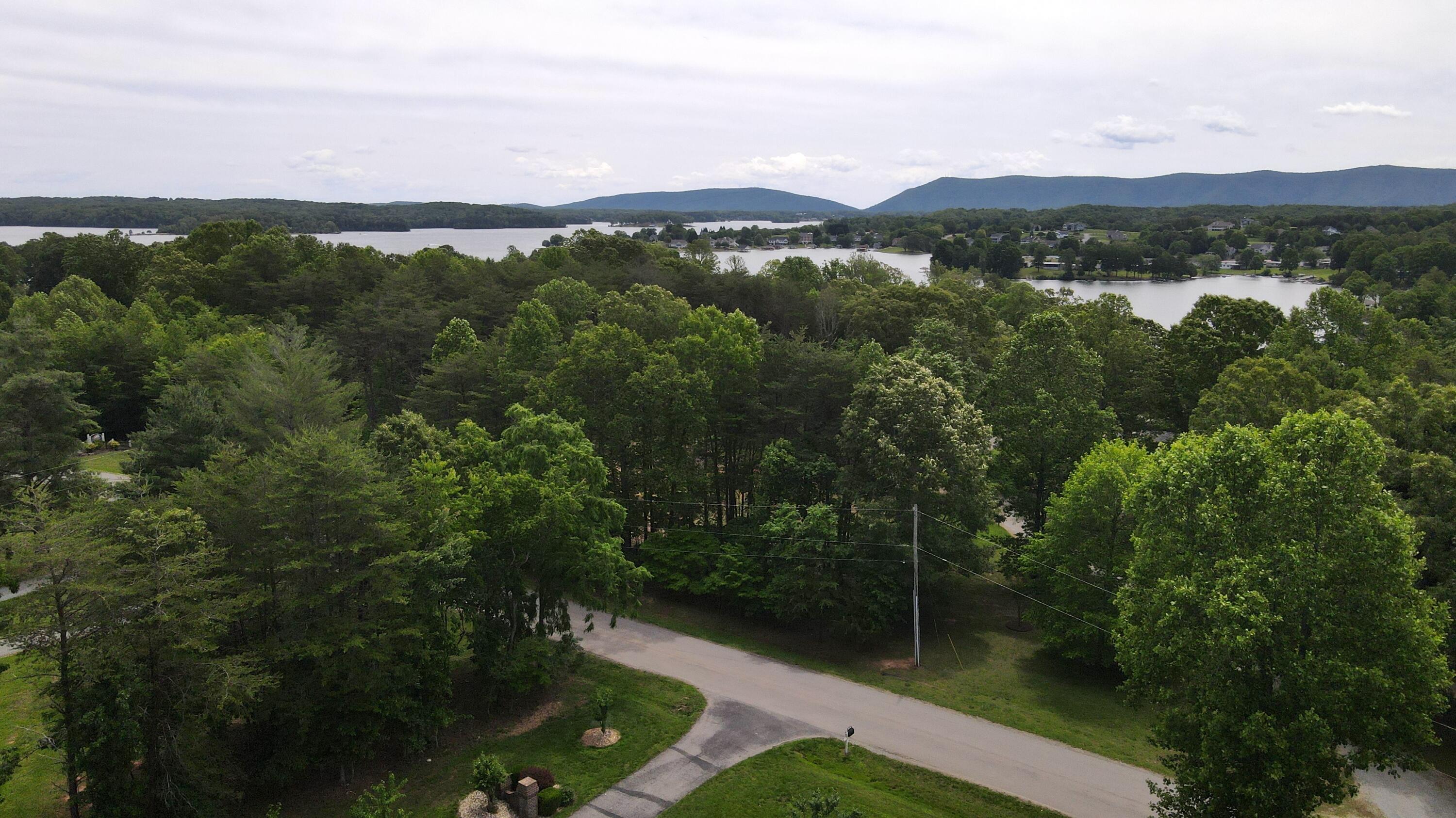 415 Strawberry Banks Dr, Moneta, Virginia image 11