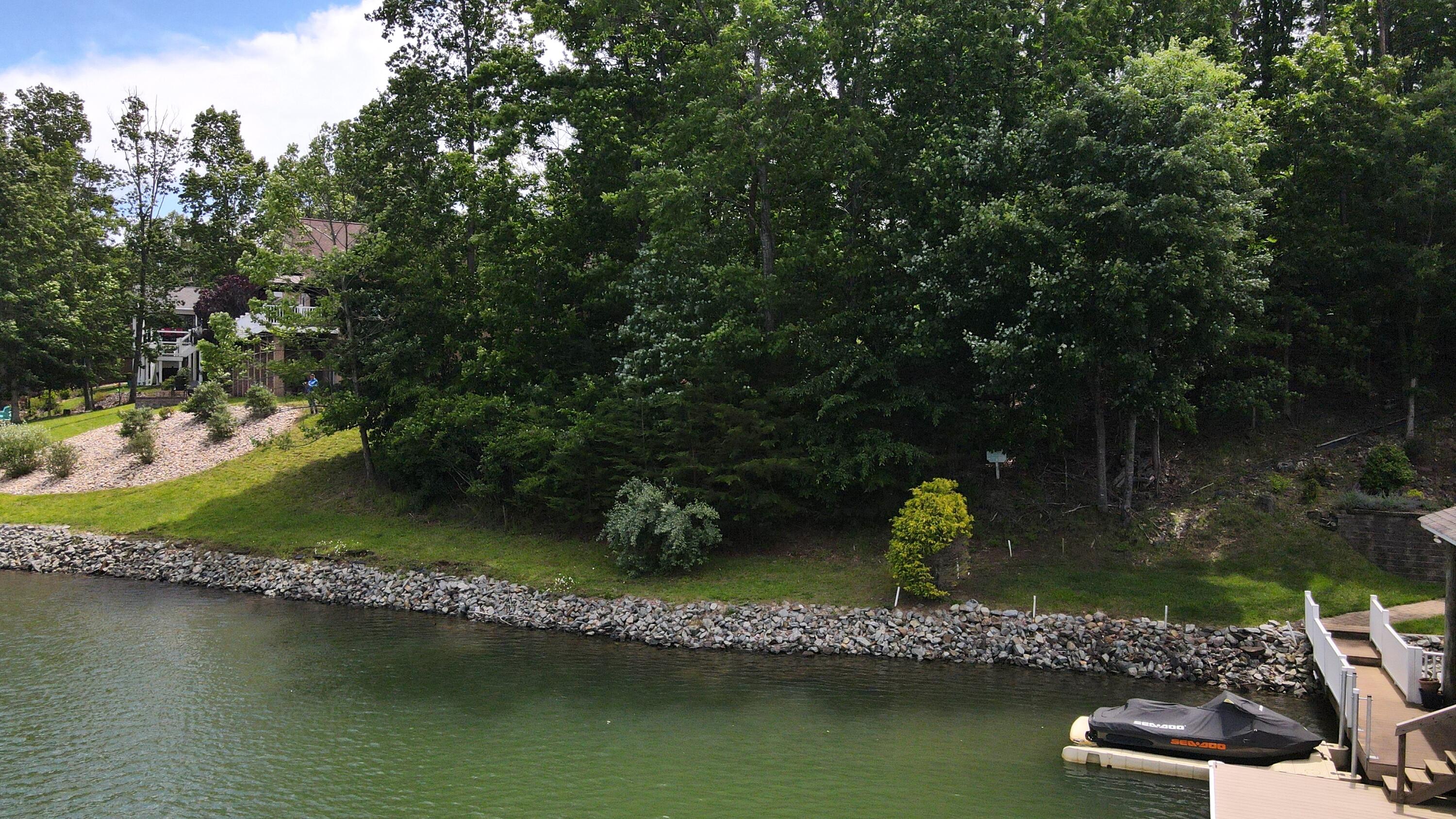 415 Strawberry Banks Dr, Moneta, Virginia image 10