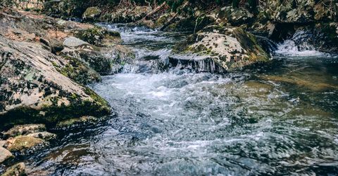 Homes For Sale - Bottom Creek Rd<br/> Bent Mountain, VA 24059