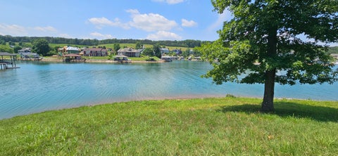 Vacant Land For Sale - LOT 7 Compass Cove Cir<br/> Moneta, VA 24121