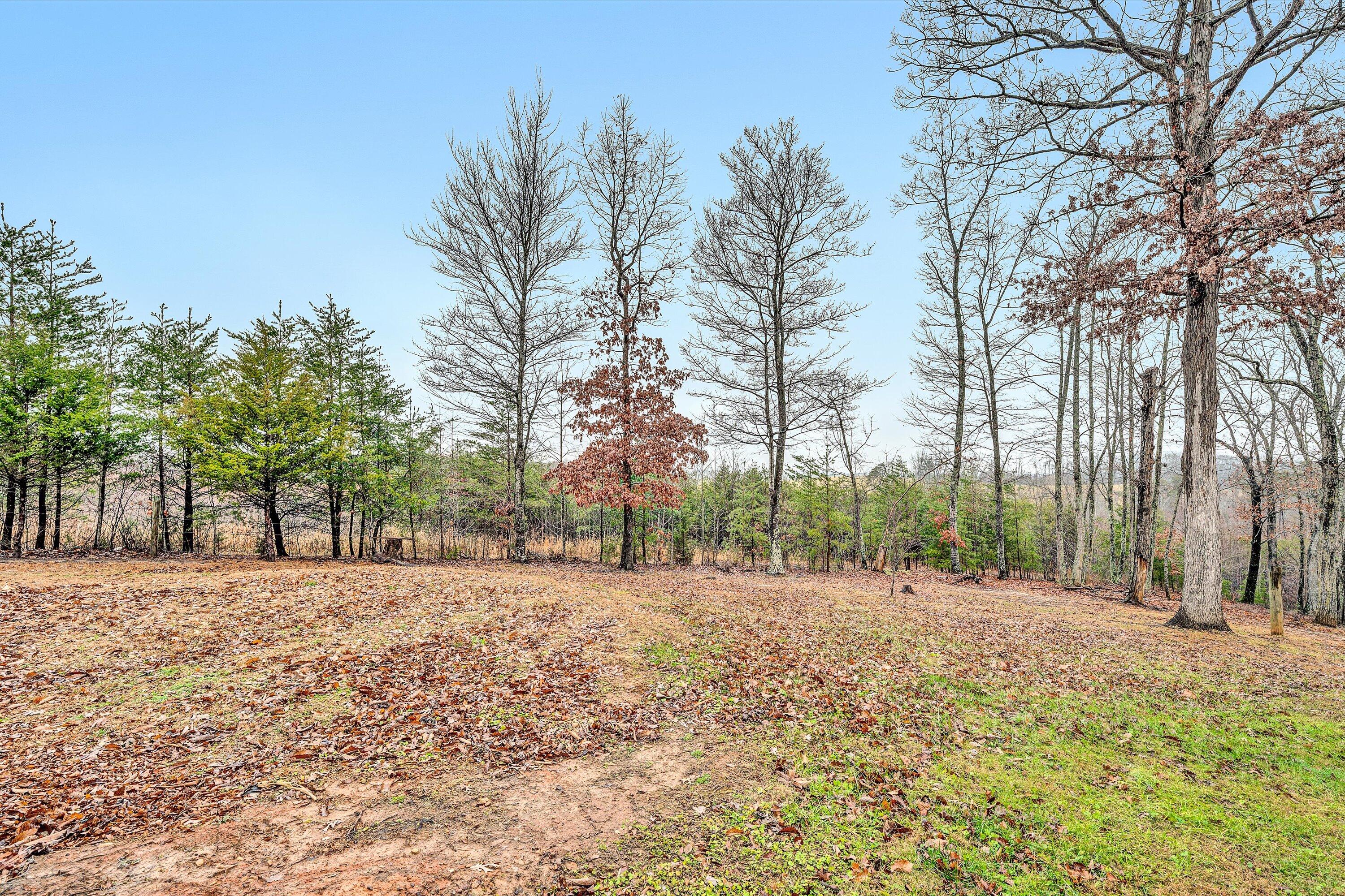 875 W Burnt Chimney Rd, Wirtz, Virginia image 18