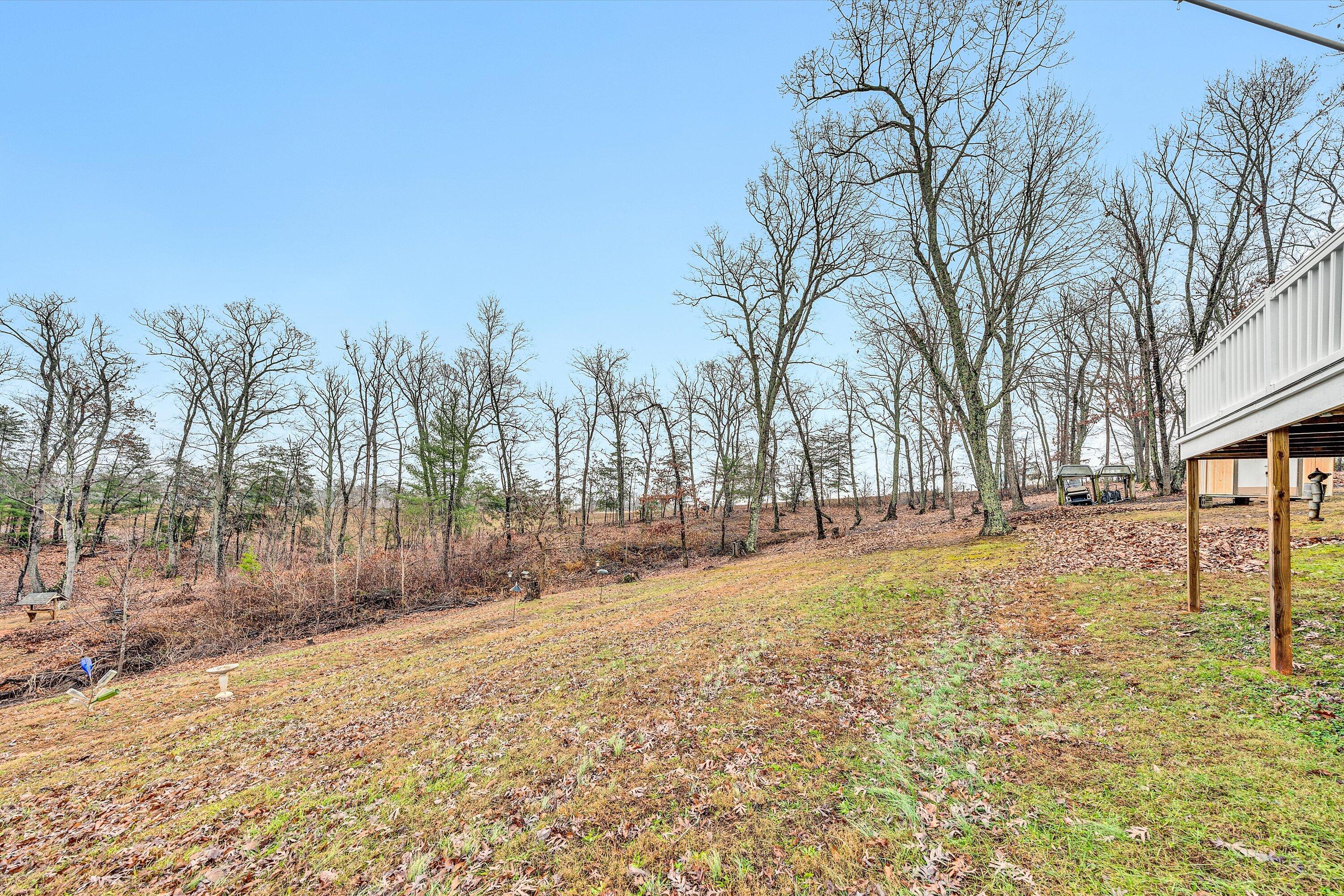 875 W Burnt Chimney Rd, Wirtz, Virginia image 19