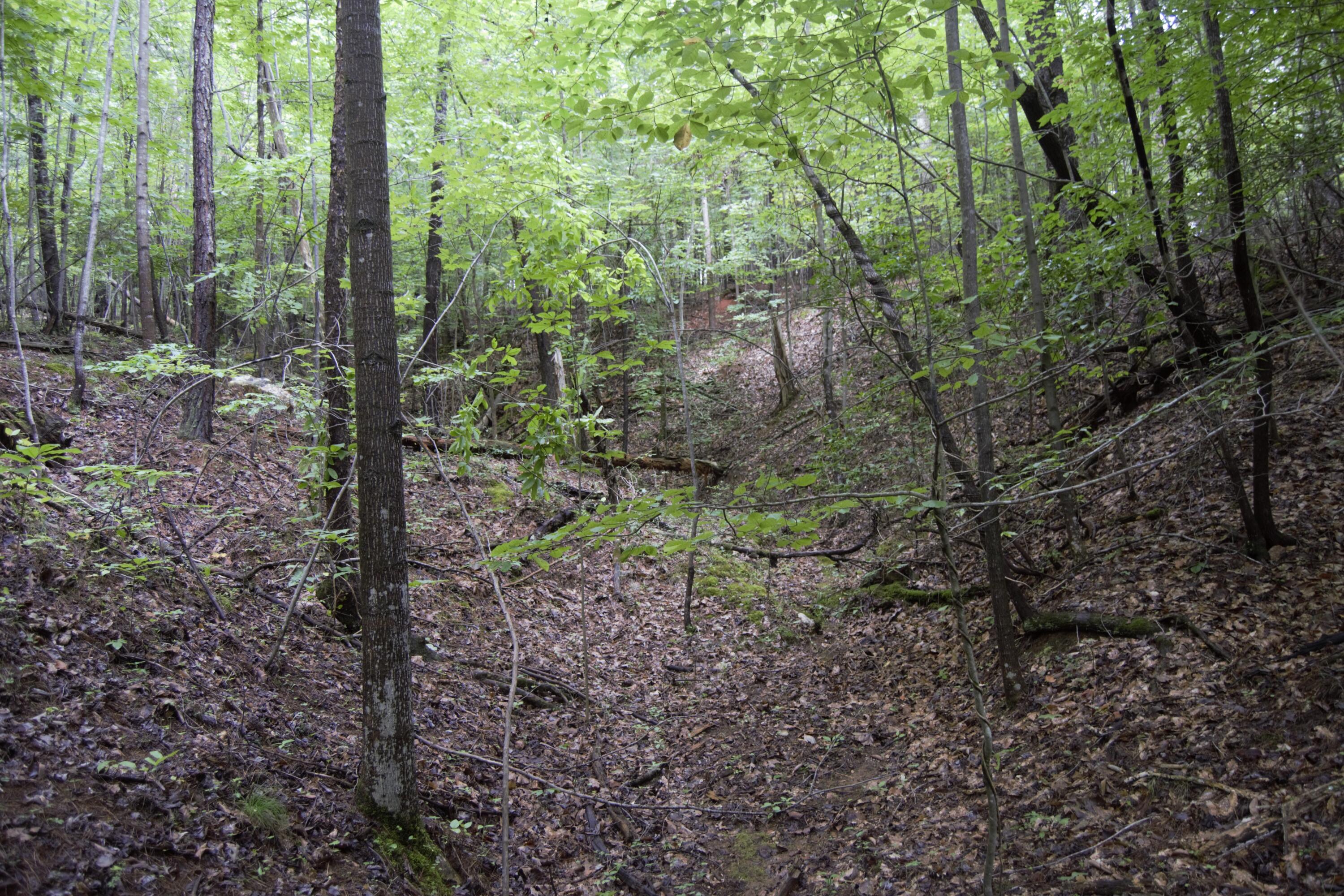 Lot 369 Mt Airy Rd, Lynch Station, Virginia image 22