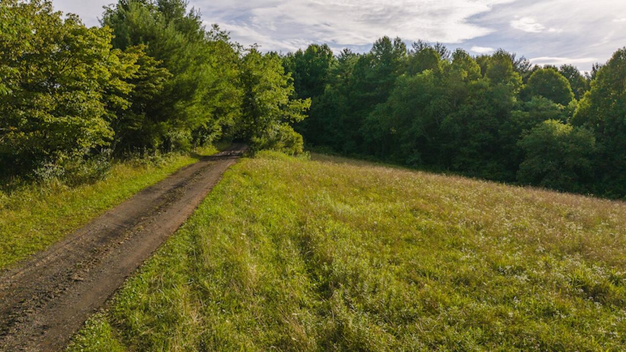 TBD Horse Shoe Bend Rd, Hillsville, Virginia image 6