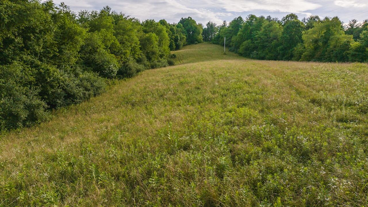 TBD Horse Shoe Bend Rd, Hillsville, Virginia image 37