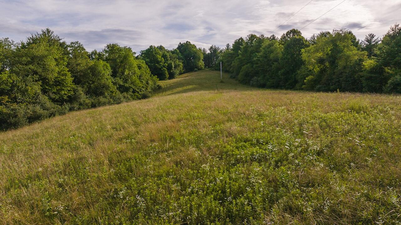 TBD Horse Shoe Bend Rd, Hillsville, Virginia image 4