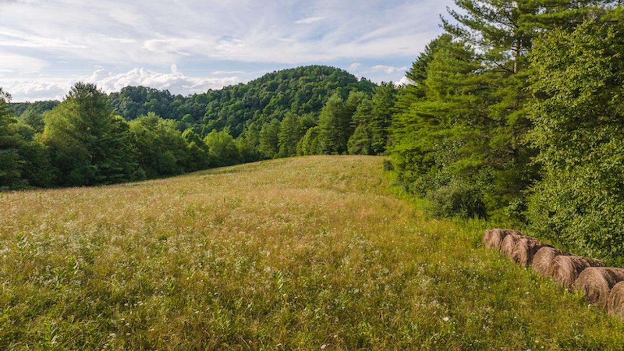 TBD Horse Shoe Bend Rd, Hillsville, Virginia image 41