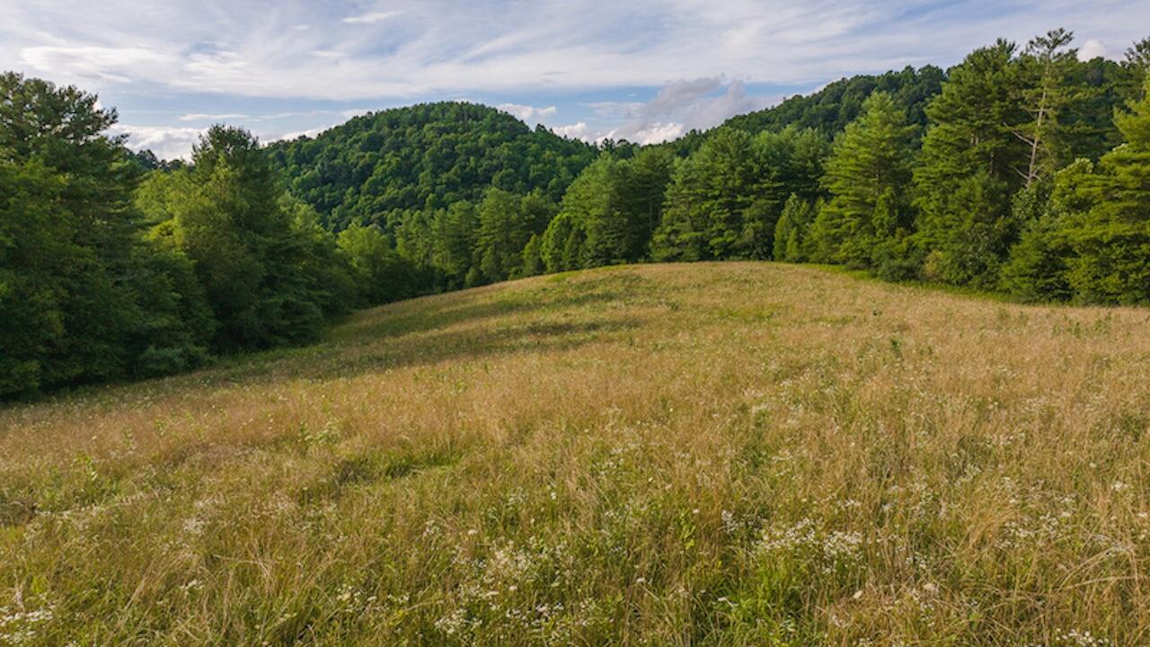 TBD Horse Shoe Bend Rd, Hillsville, Virginia image 39