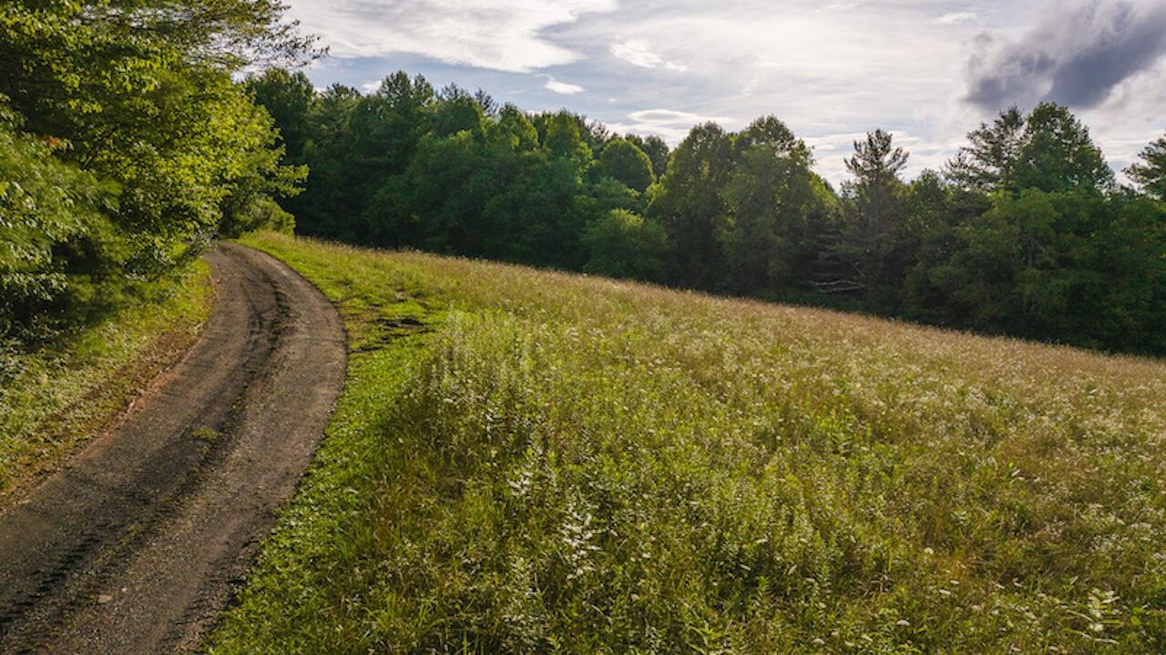 TBD Horse Shoe Bend Rd, Hillsville, Virginia image 42