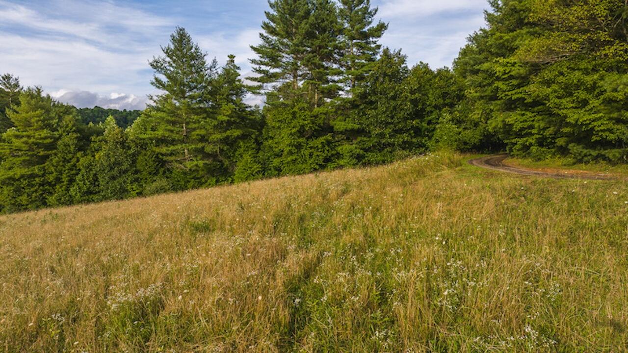 TBD Horse Shoe Bend Rd, Hillsville, Virginia image 40