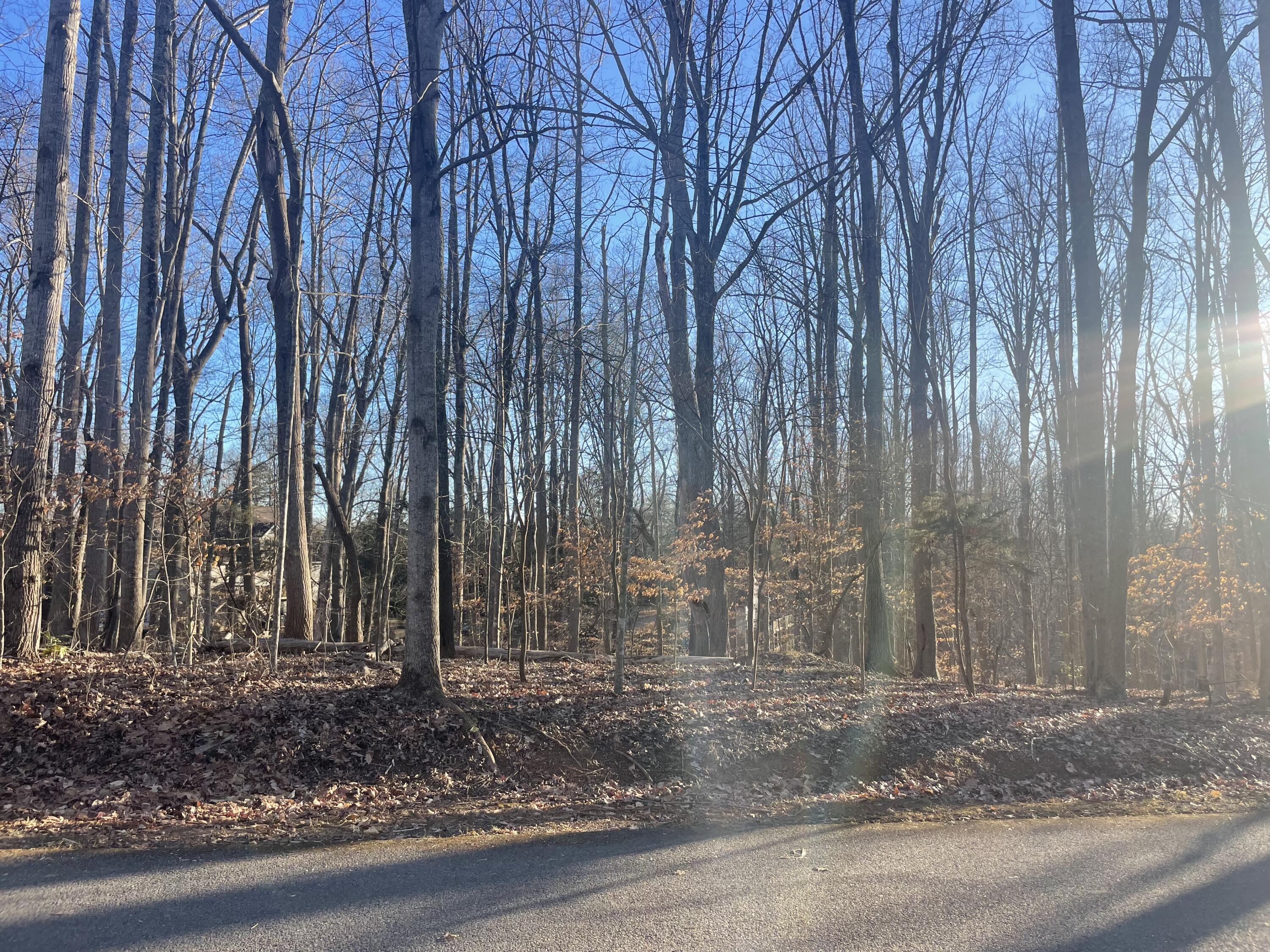 Lot 118 Brentwood Ln, Moneta, Virginia image 9