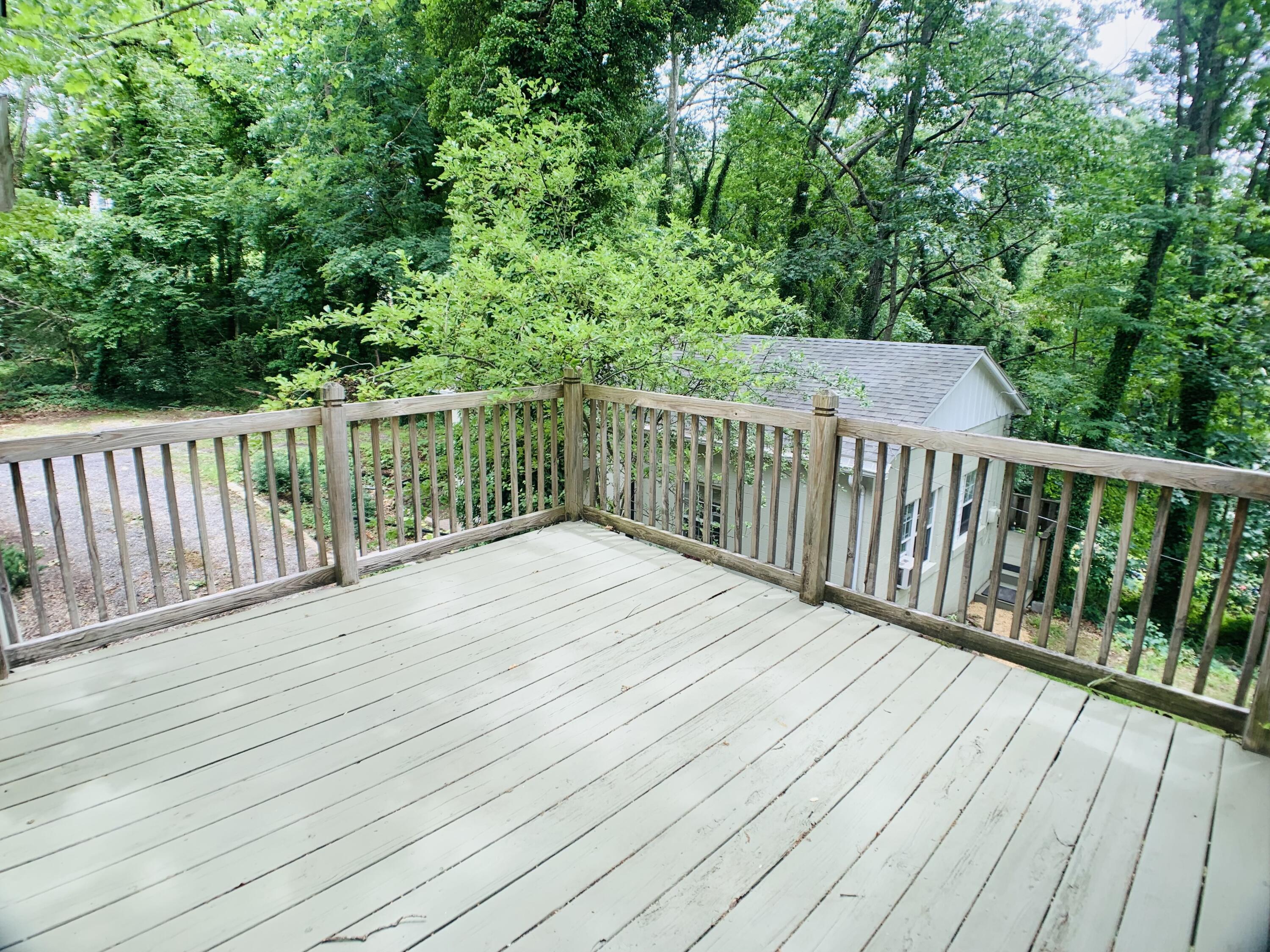 704 Jefferson Ave, Clifton Forge, Virginia image 46