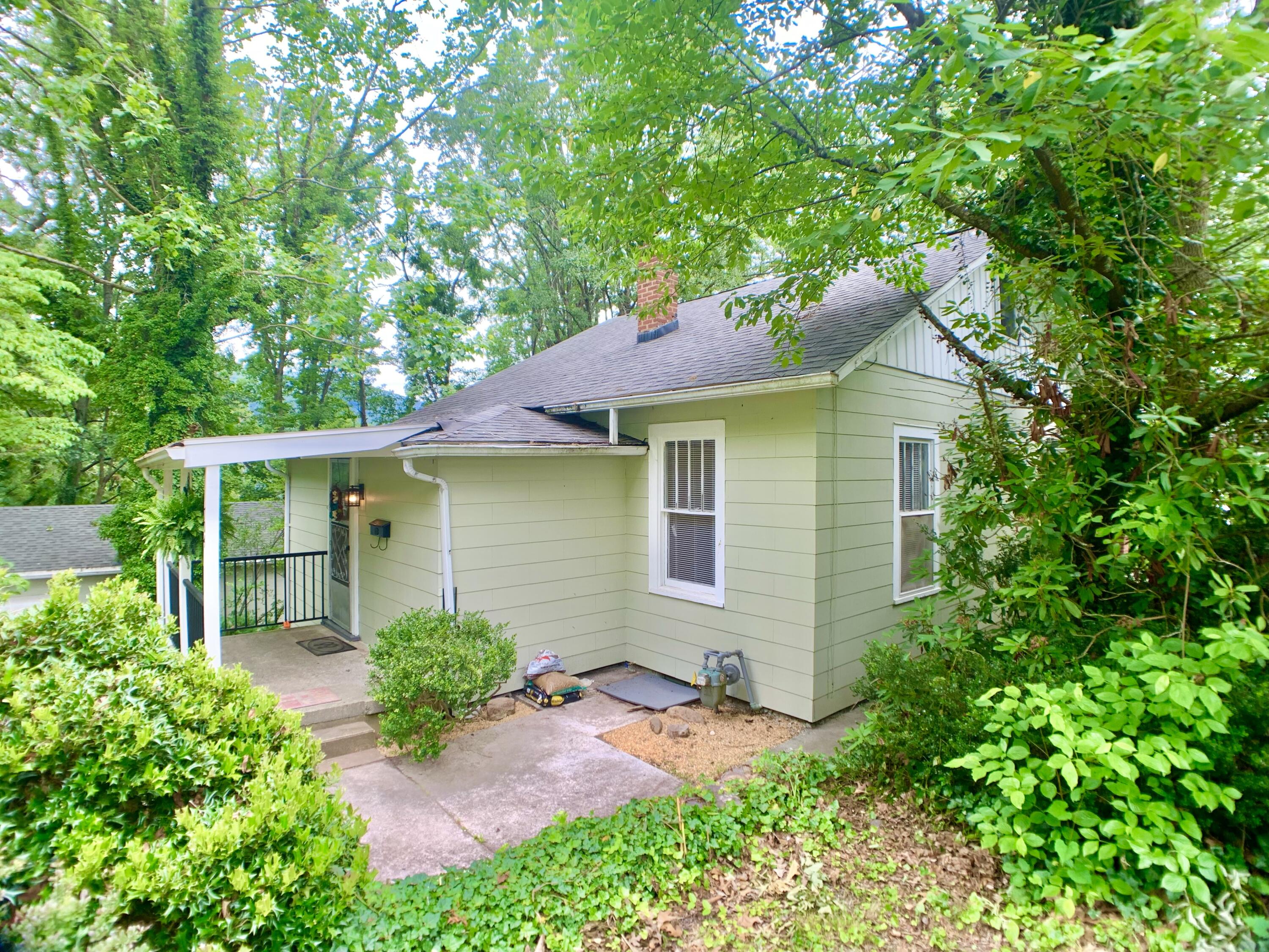 704 Jefferson Ave, Clifton Forge, Virginia image 5