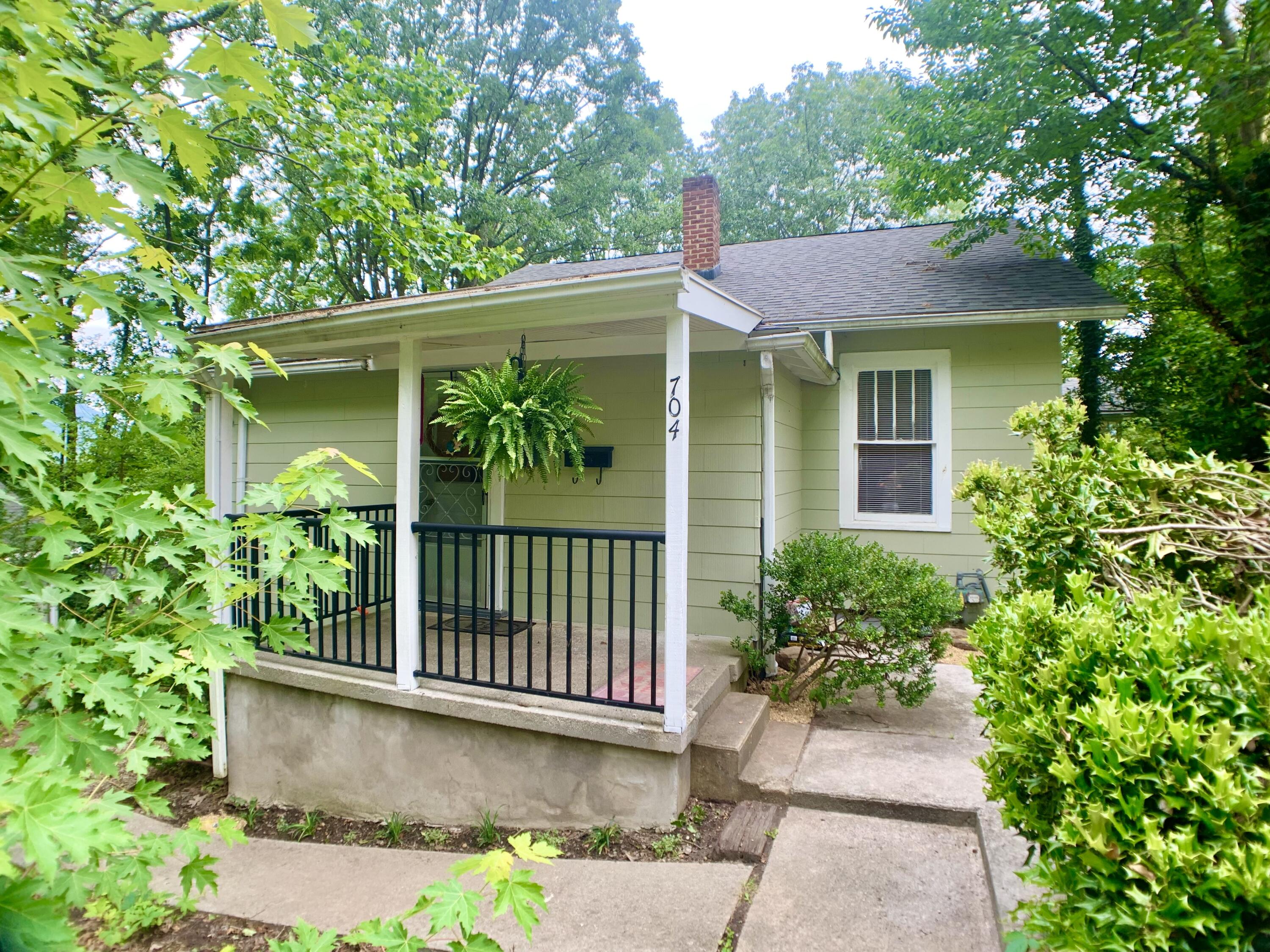 704 Jefferson Ave, Clifton Forge, Virginia image 6