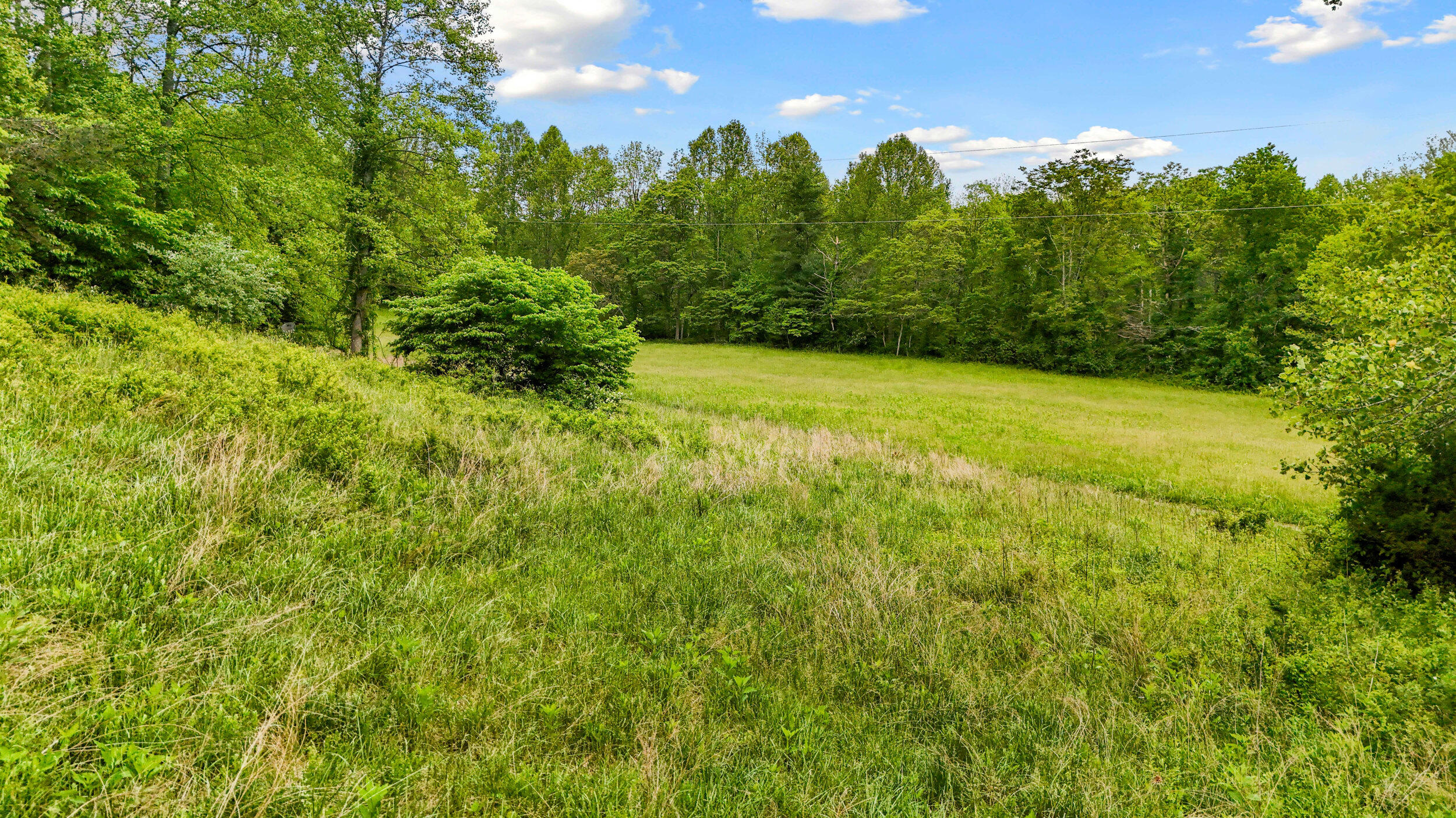1539 Wheats Valley Rd, Bedford, Ohio image 41