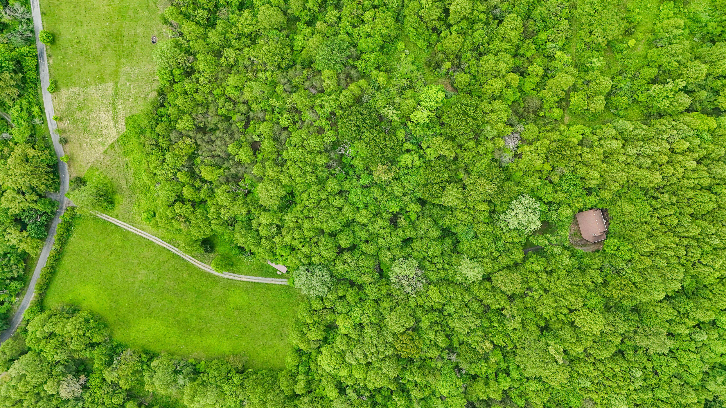 1539 Wheats Valley Rd, Bedford, Ohio image 38