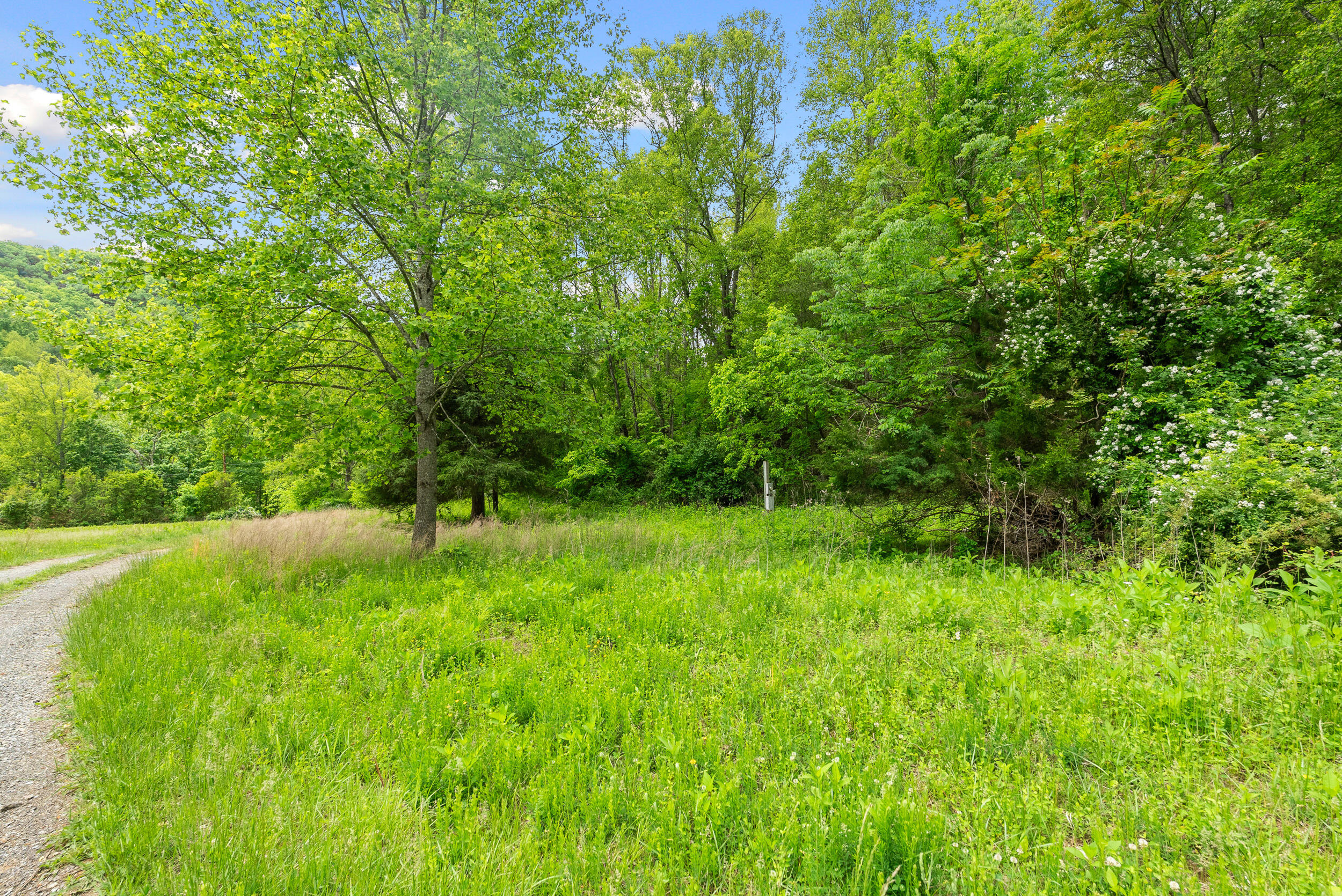 1539 Wheats Valley Rd, Bedford, Ohio image 44