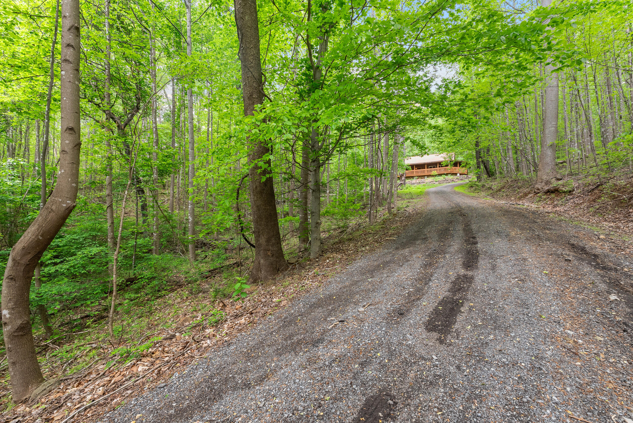 1539 Wheats Valley Rd, Bedford, Ohio image 46