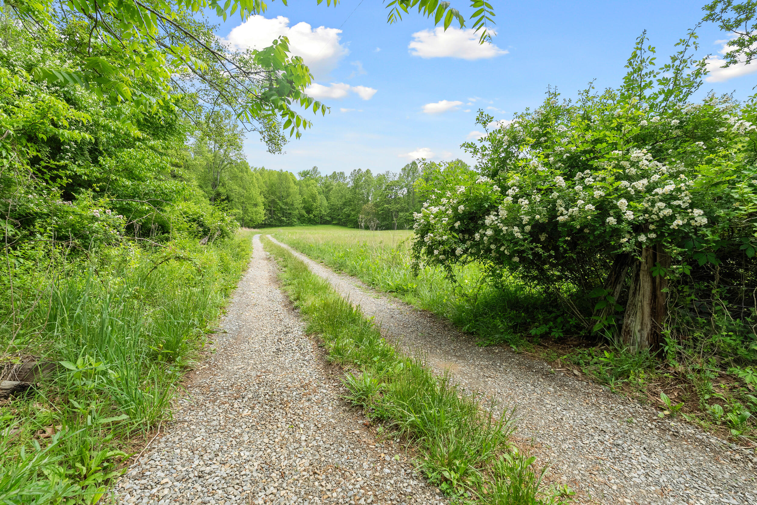 1539 Wheats Valley Rd, Bedford, Ohio image 43