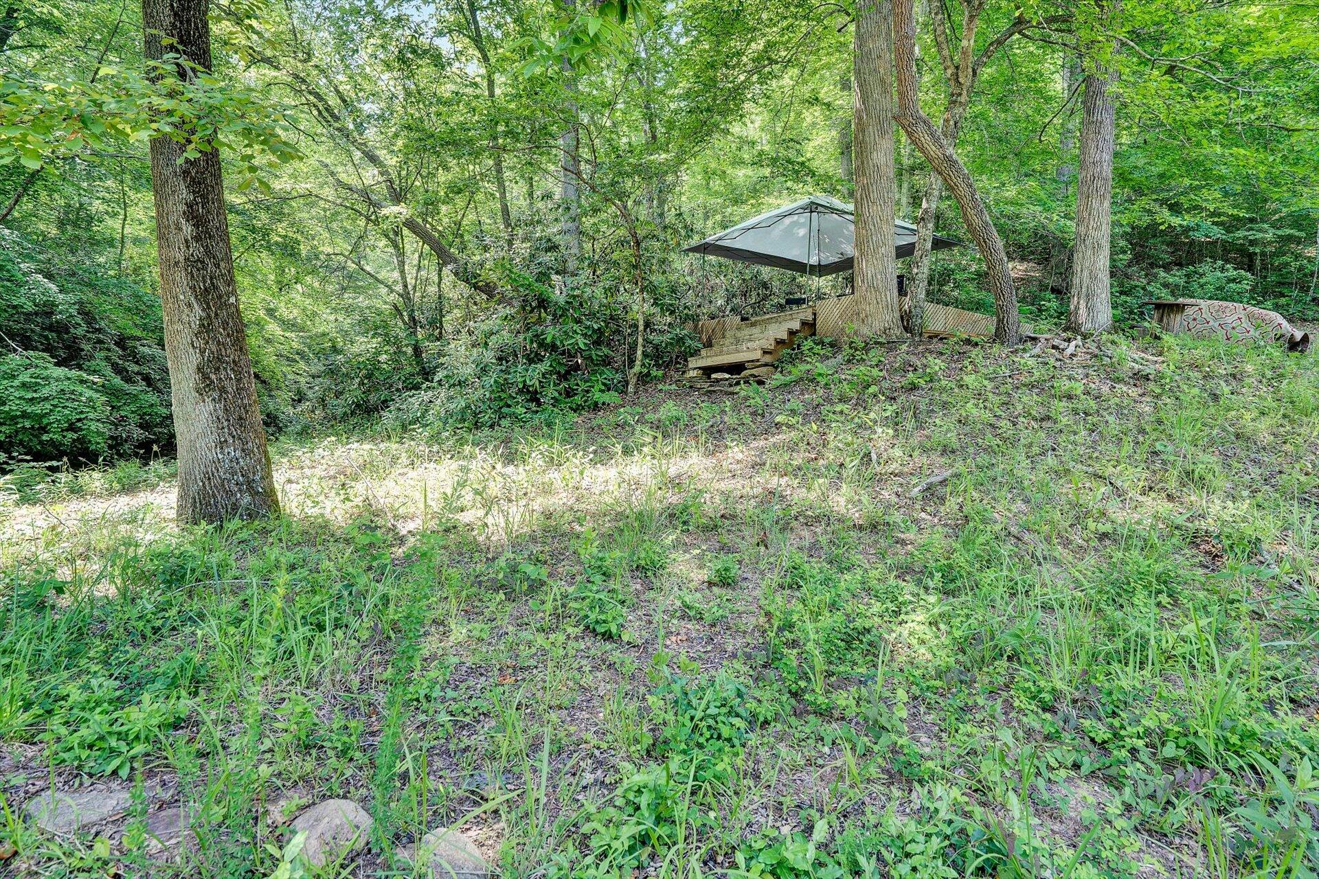 2446 Deer Run Rd, Ferrum, Virginia image 33