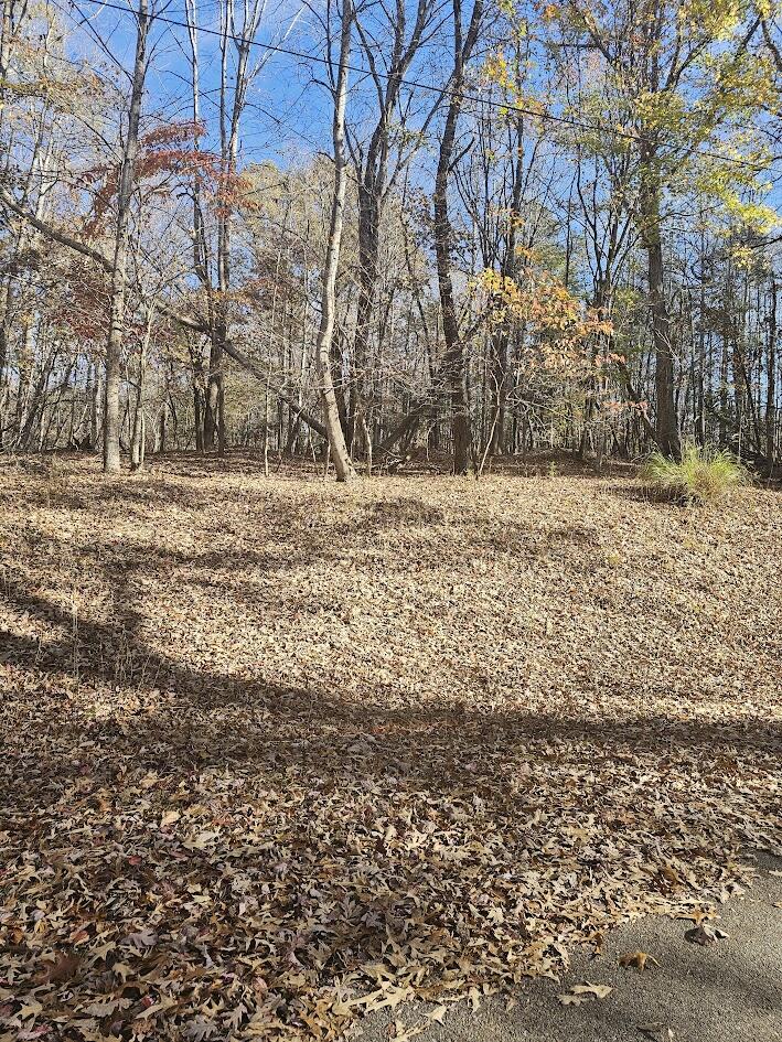 Lot 136 High Point Rd., Moneta, Virginia image 16