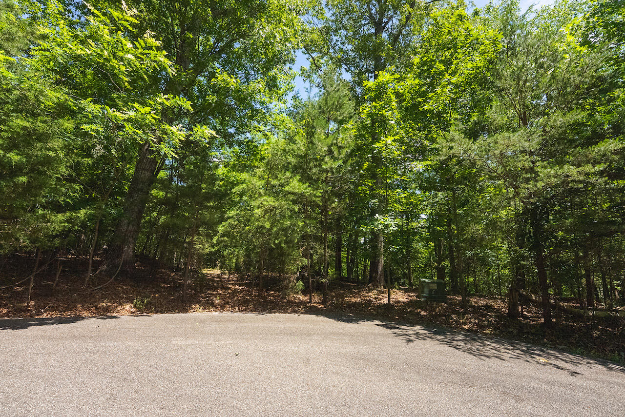 Runaway Bay Rd, Lynch Station, Virginia image 16