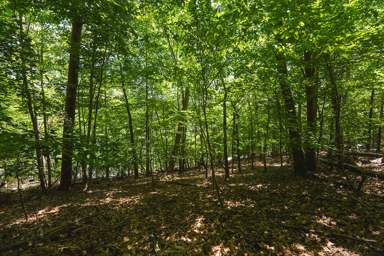 Runaway Bay Rd, Lynch Station, Virginia image 22