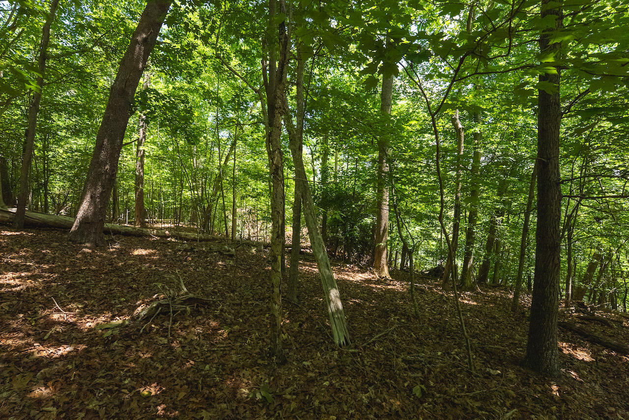 Runaway Bay Rd, Lynch Station, Virginia image 21