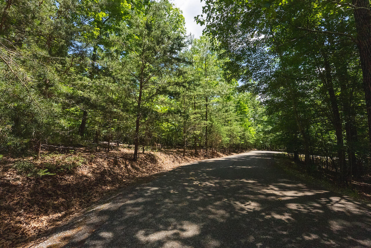 Runaway Bay Rd, Lynch Station, Virginia image 15