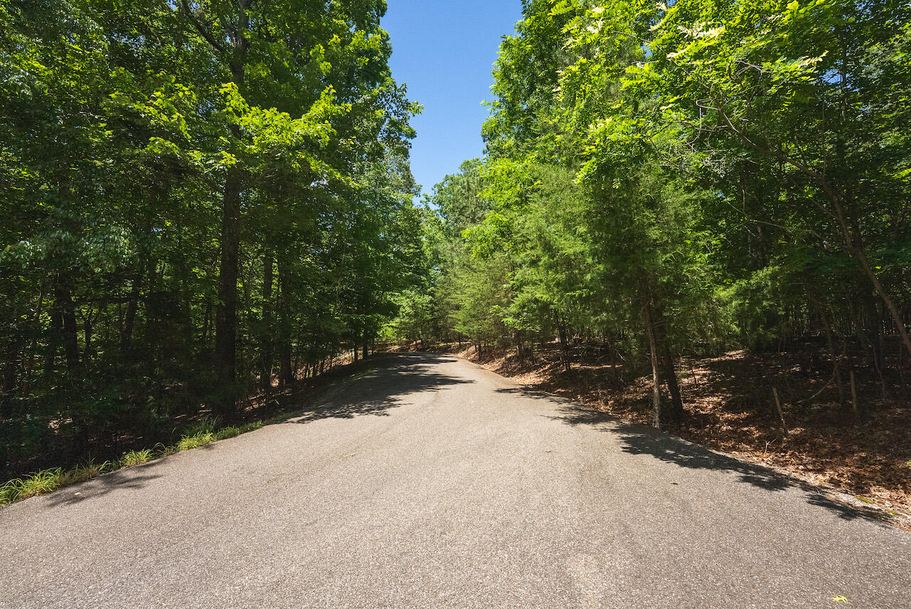 Runaway Bay Rd, Lynch Station, Virginia image 17